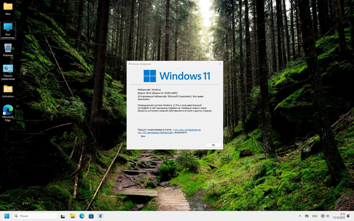 Windows 11 Pro 25H2 Full без телеметрии 26200.6899 by Revision — изображение 1