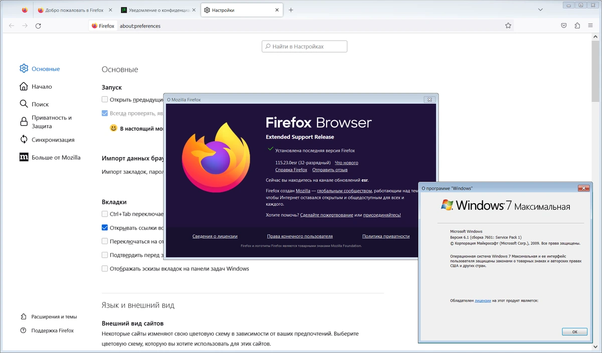 Безопасный браузер Firefox Browser ESR 115.23.0 — изображение 1