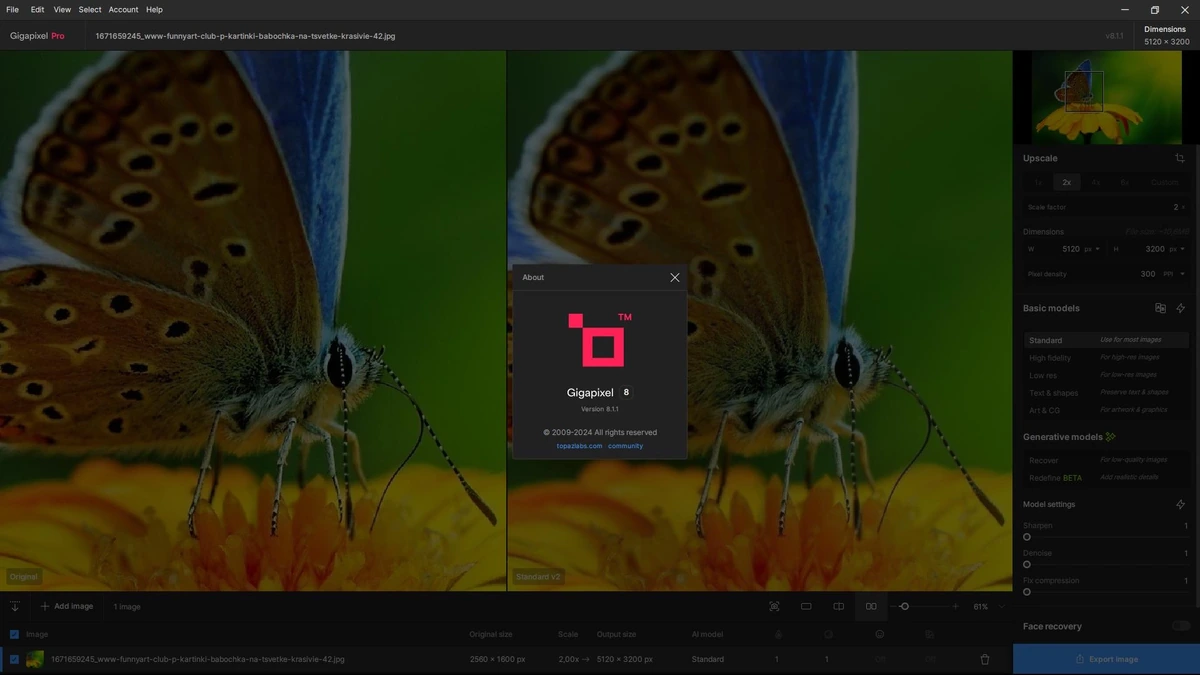 Большие изображения в хорошем качестве Topaz Gigapixel AI 8.1.1 RePack by KpoJIuK — изображение 1