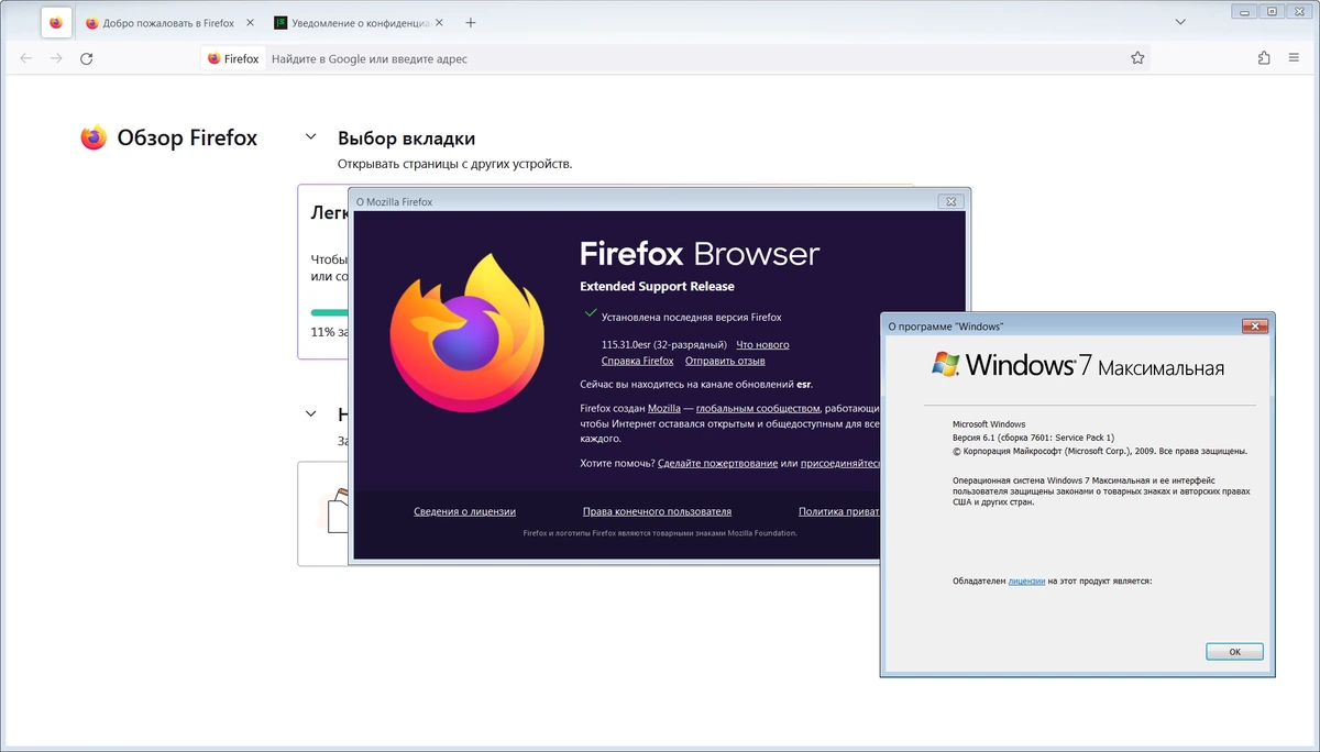 Браузер Firefox Browser ESR 115.31.0 — изображение 1