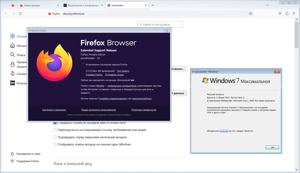 Браузер Firefox Browser ESR 115.22.0 by PortableApps — изображение 1