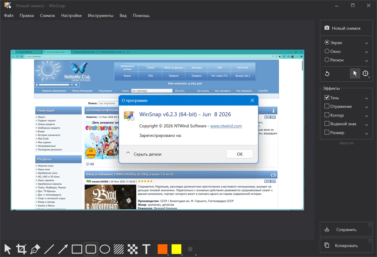 Быстрый скриншот с экрана WinSnap 6.2.3 — изображение 1
