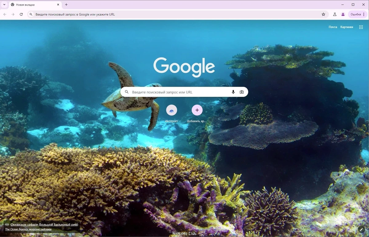 Chromium 126.0.6478.115 + Portable — изображение 1