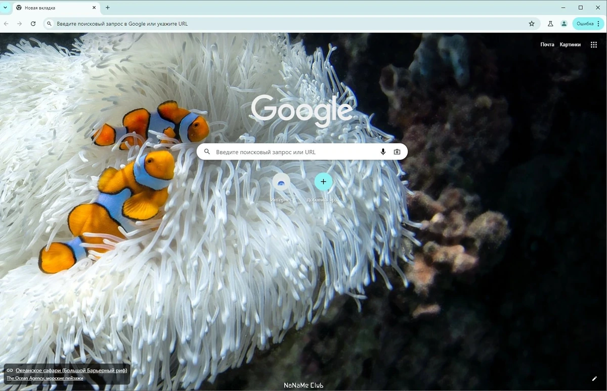 Chromium 126.0.6478.57 + Portable — изображение 1