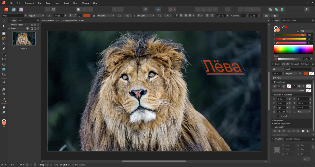 Дизайн брошюр и плакатов Serif Affinity Publisher 2.6.3.3322 — изображение 1