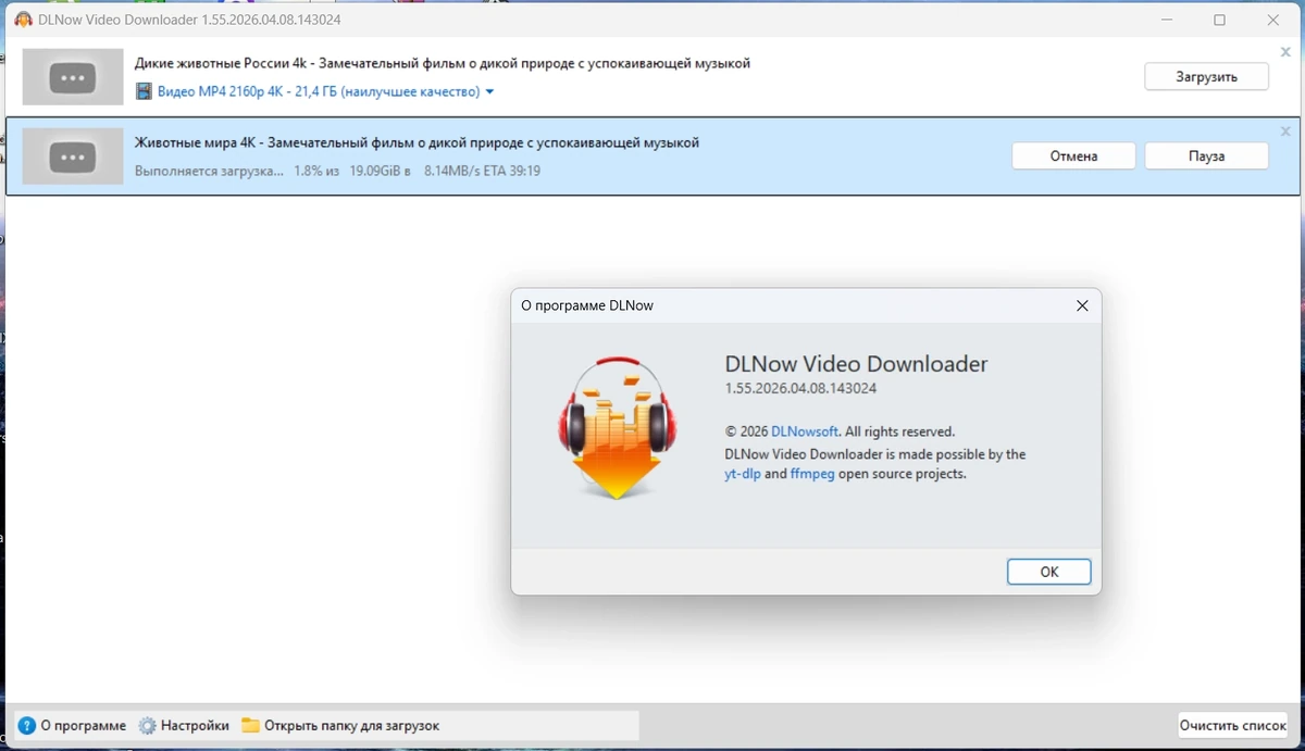 Загрузчик видео DLNow Video Downloader 1.55.2026.04.08 by elchupacabra — изображение 1