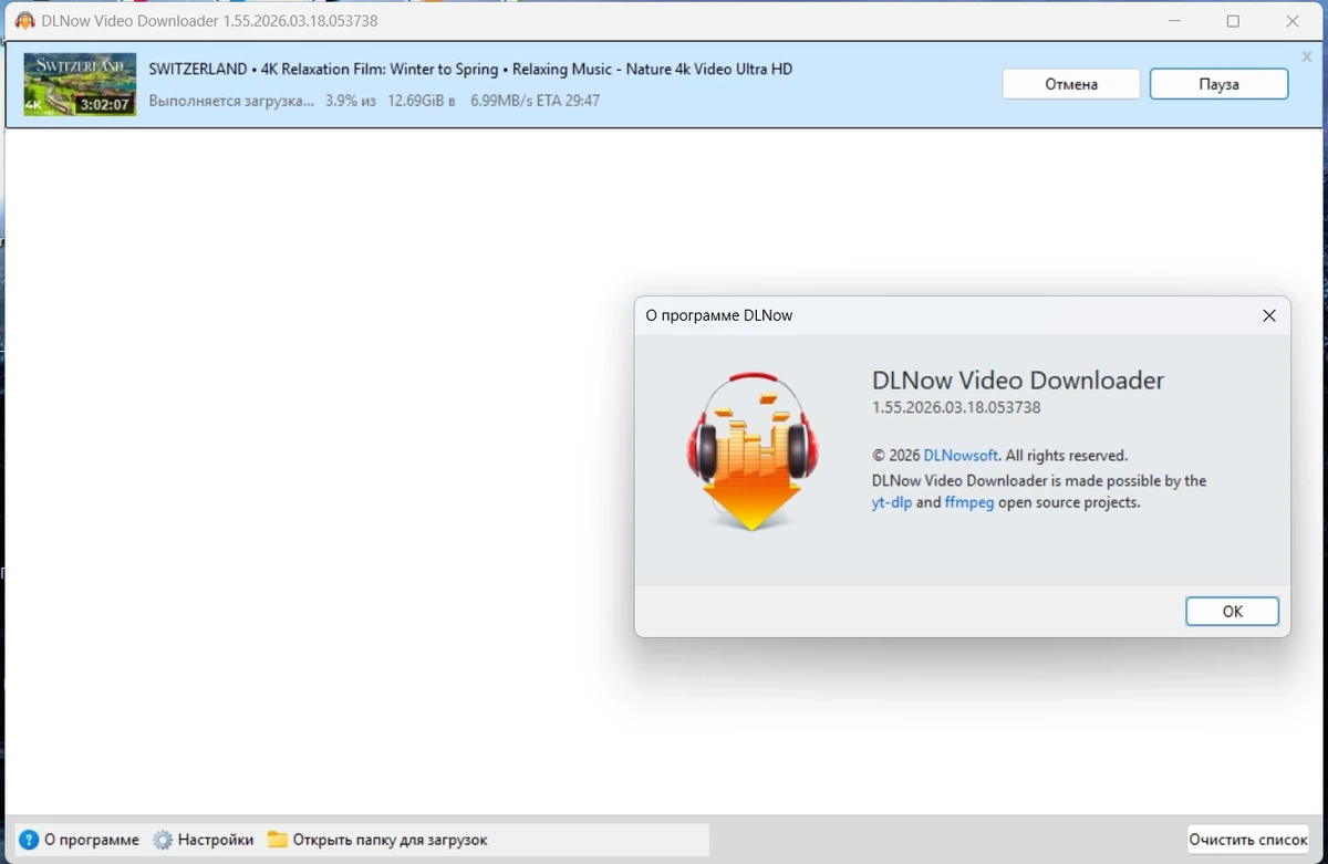 Загрузчик видео DLNow Video Downloader 1.55.2026.03.18 by elchupacabra — изображение 1