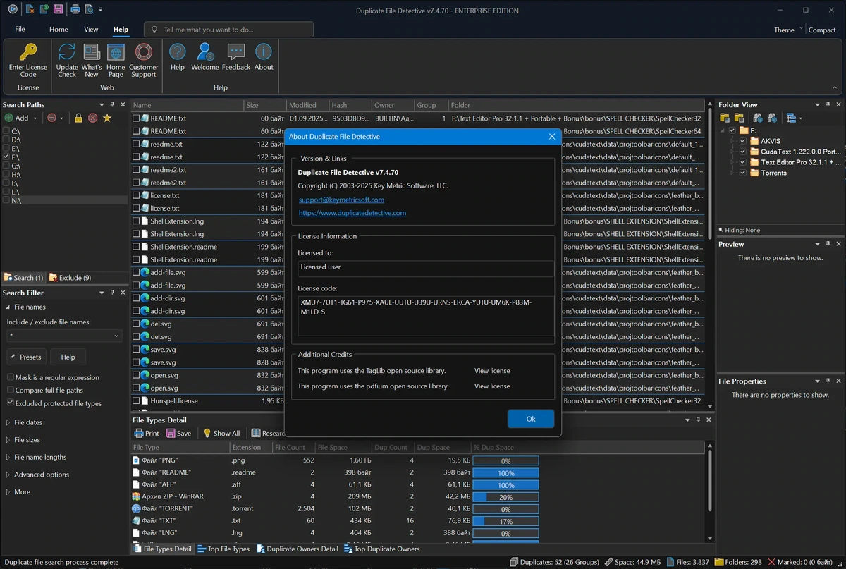 Duplicate File Detective Enterprise 7.4.70 — изображение 1