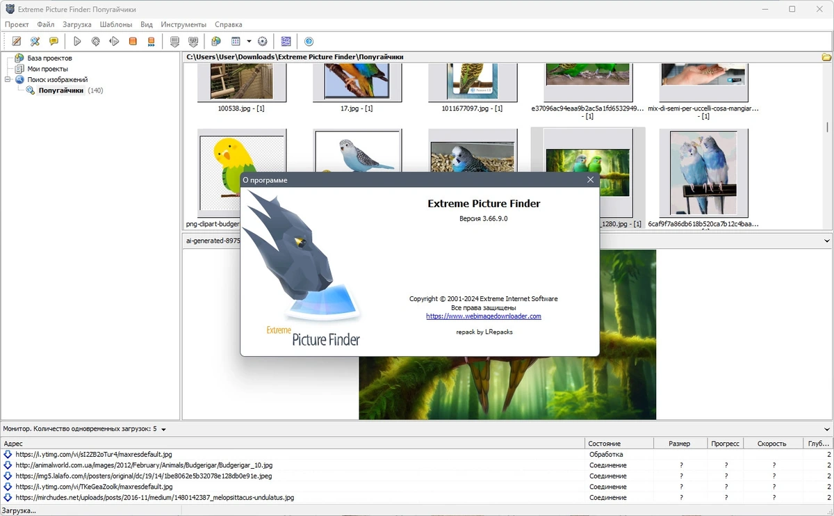 Поиск файлов Extreme Picture Finder 3.66.13.0 by elchupacabra — изображение 1