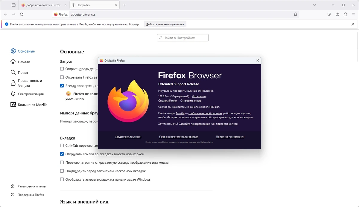 Браузер для Windows Firefox Browser ESR 128.3.1 — изображение 1