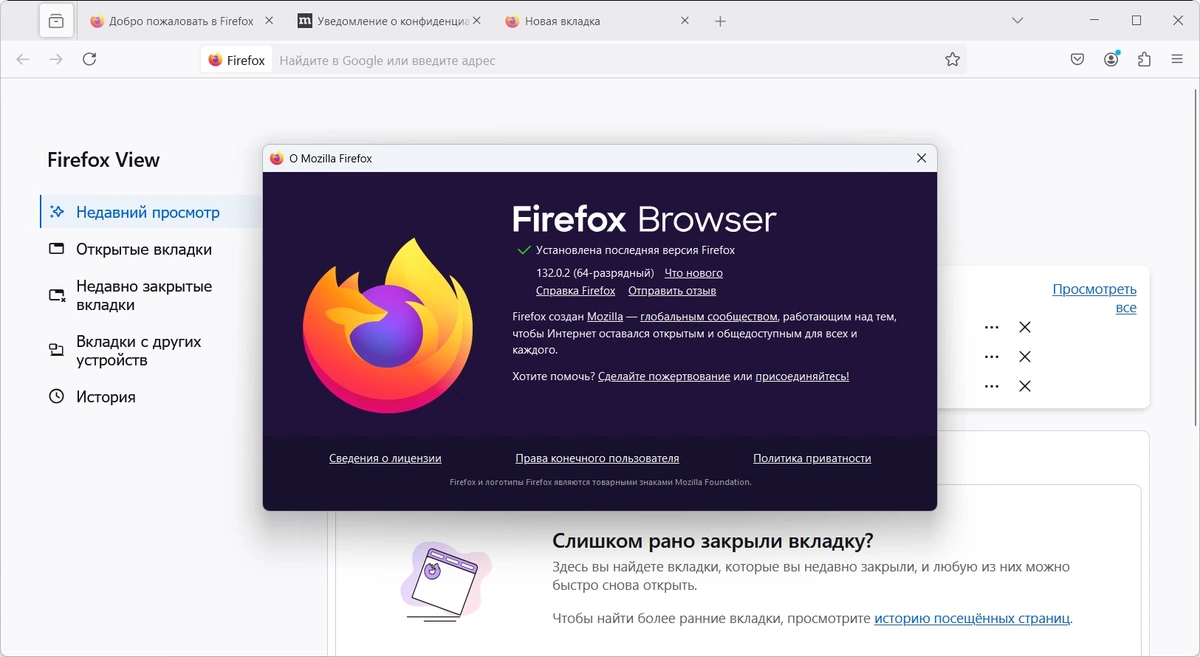 Интернет обозреватель Firefox Browser 132.0.2 — изображение 1