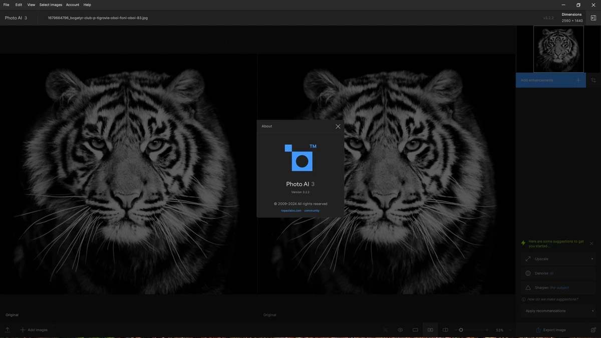Фоторедактор Topaz Photo AI 3.2.2 RePack by KpoJIuK — изображение 1