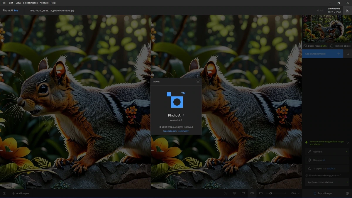 Фоторедактор Topaz Photo AI 3.4.0 RePack by KpoJIuK — изображение 1