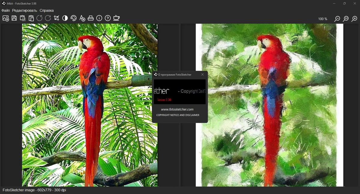 Картины из фото FotoSketcher 3.98 Final + Portable — изображение 1