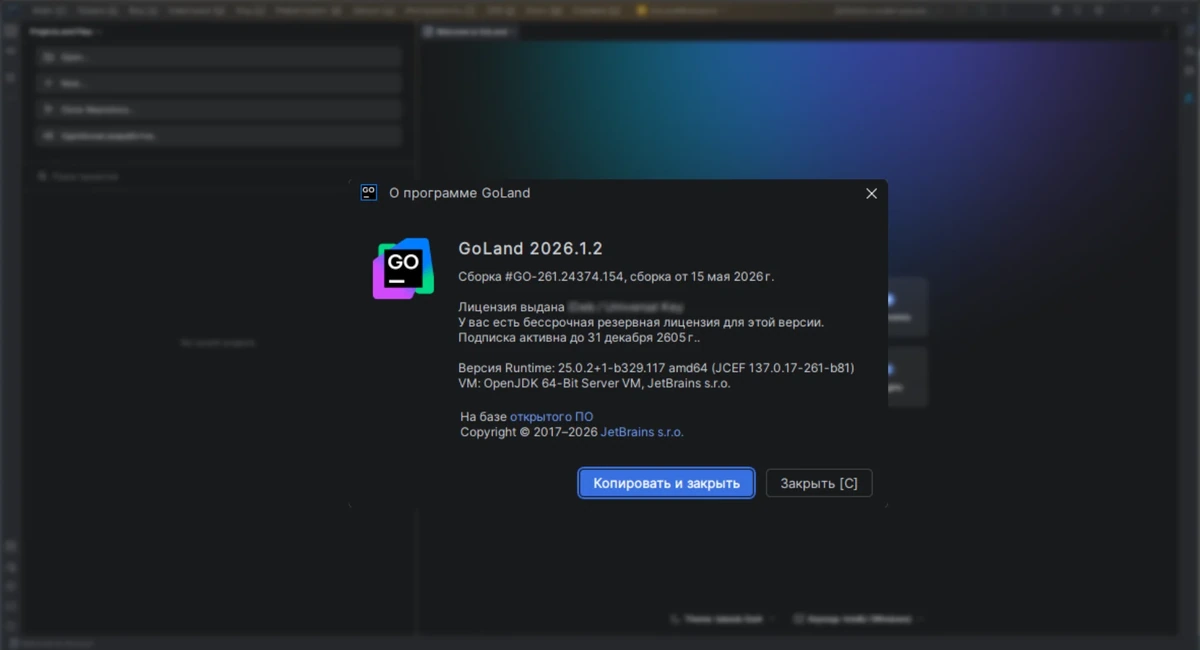 Генератор кода JetBrains GoLand 2026.1.2 by IDE`a — изображение 1