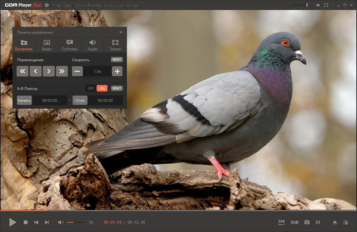 GOM Player Plus 2.3.85.5353 RePack (& Portable) by Dodakaedr — изображение 1