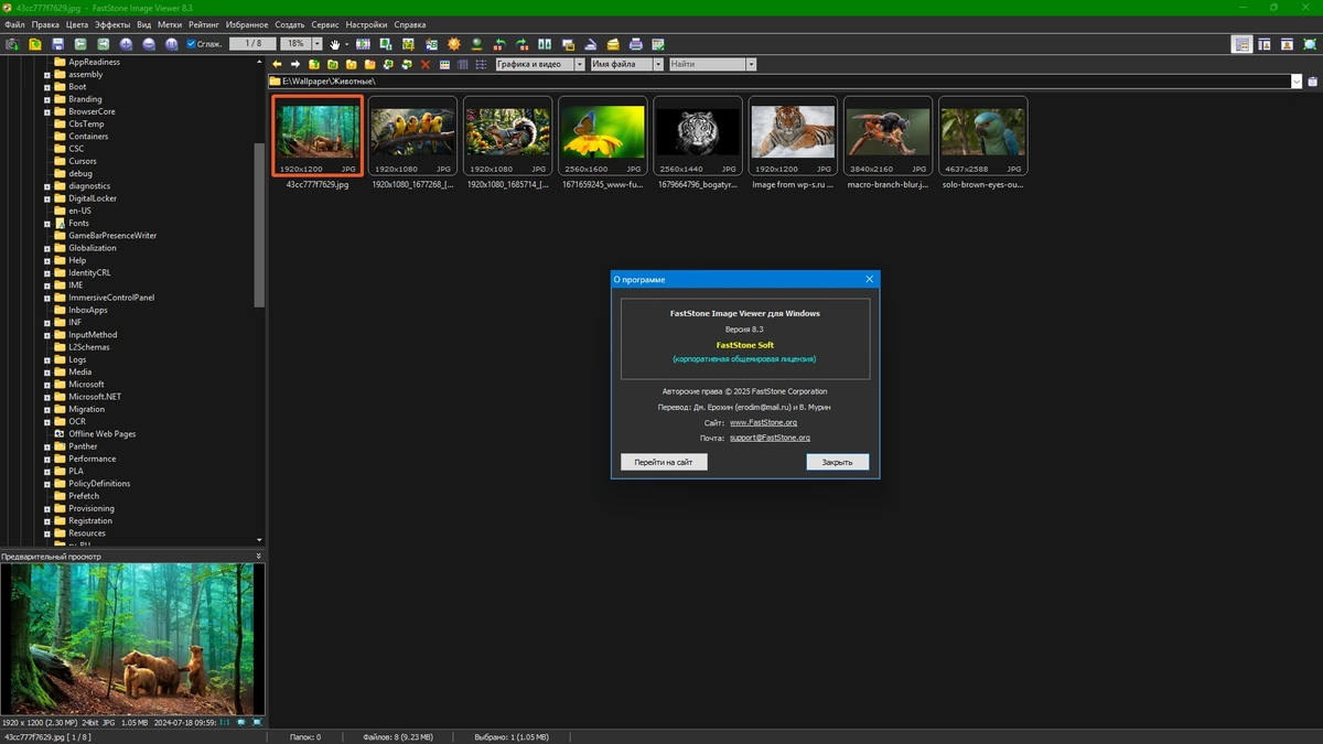 Графический редактор FastStone Image Viewer 8.3 by elchupacabra — изображение 1