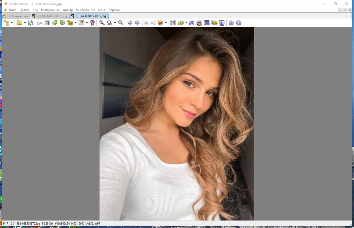 Графический редактор - XnView Classic 2.51.6 (Minimal-Standard-Extended) + Portable — изображение 1