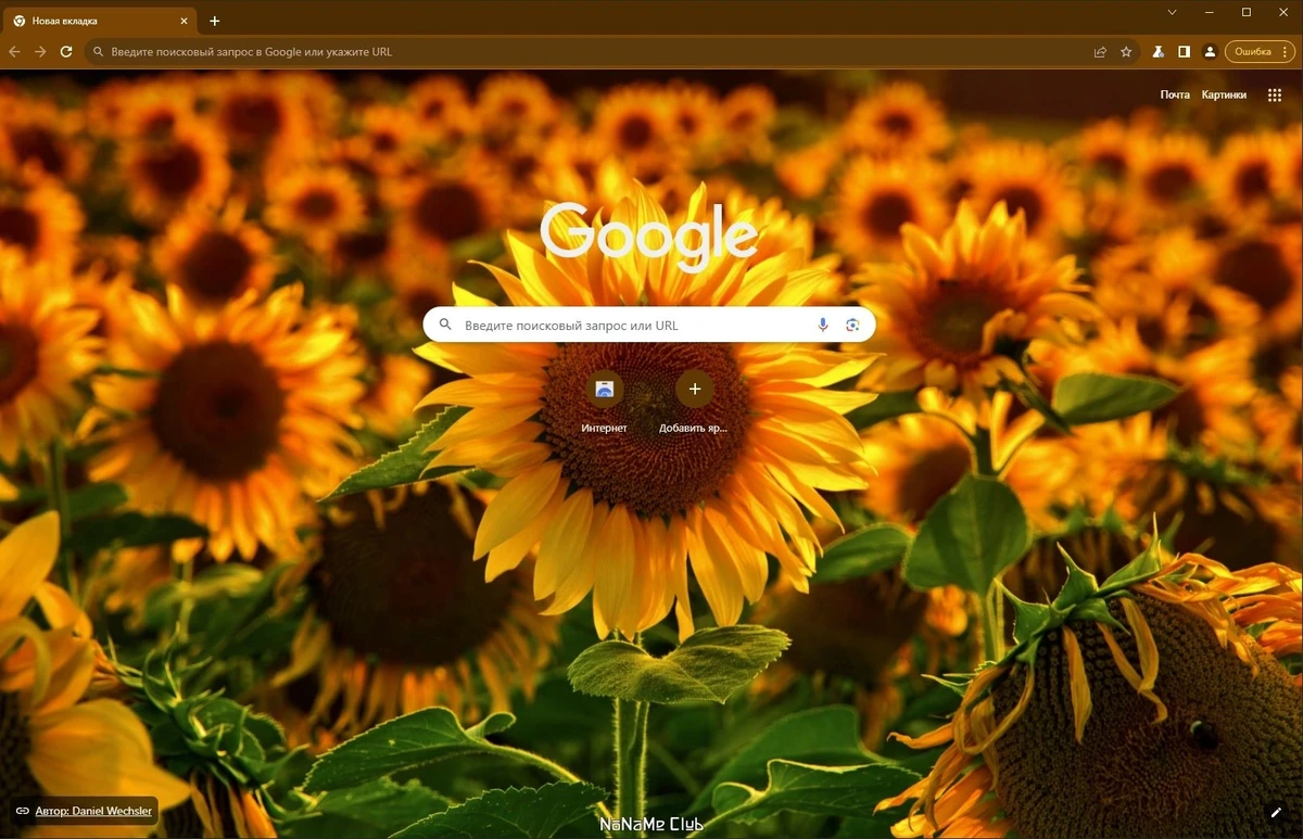 Хром браузер - Chromium 119.0.6045.200 + Portable — изображение 1
