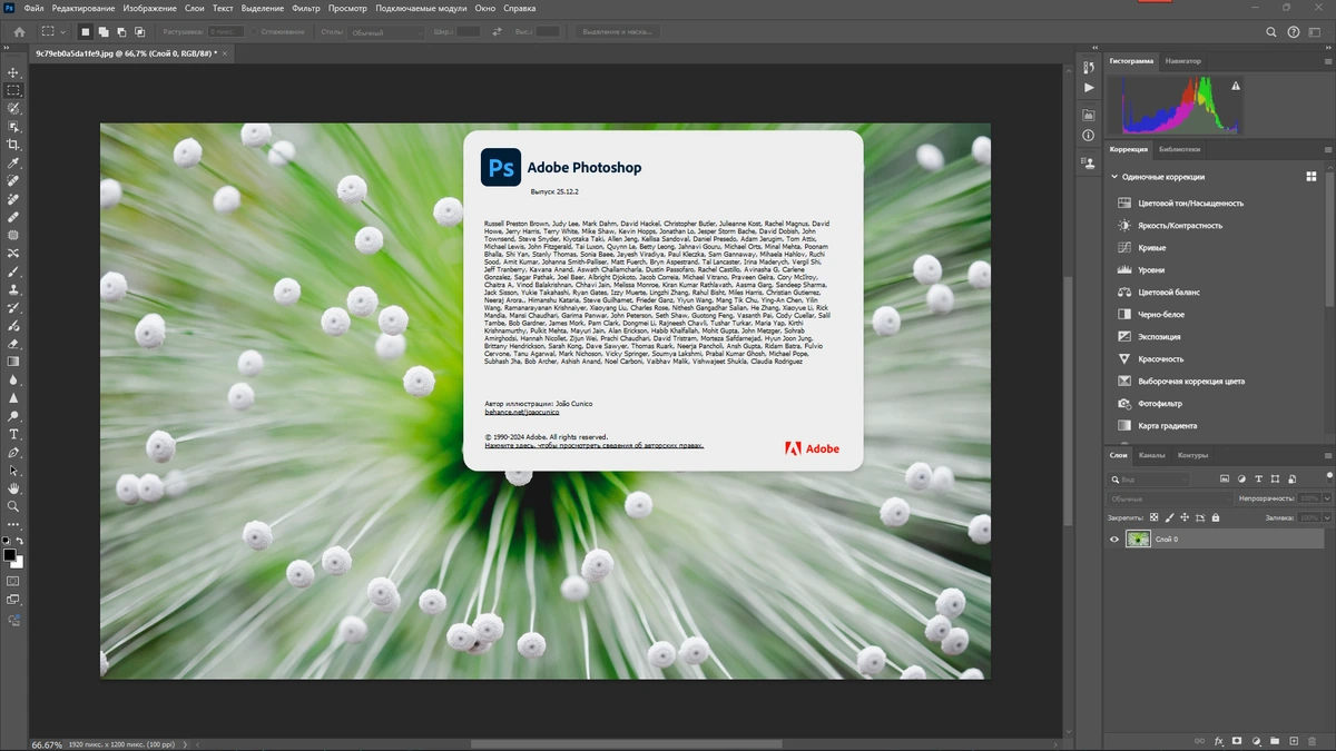 Легкий фотошоп Adobe Photoshop 2024 25.12.2.1009 Light by 7997 — изображение 1