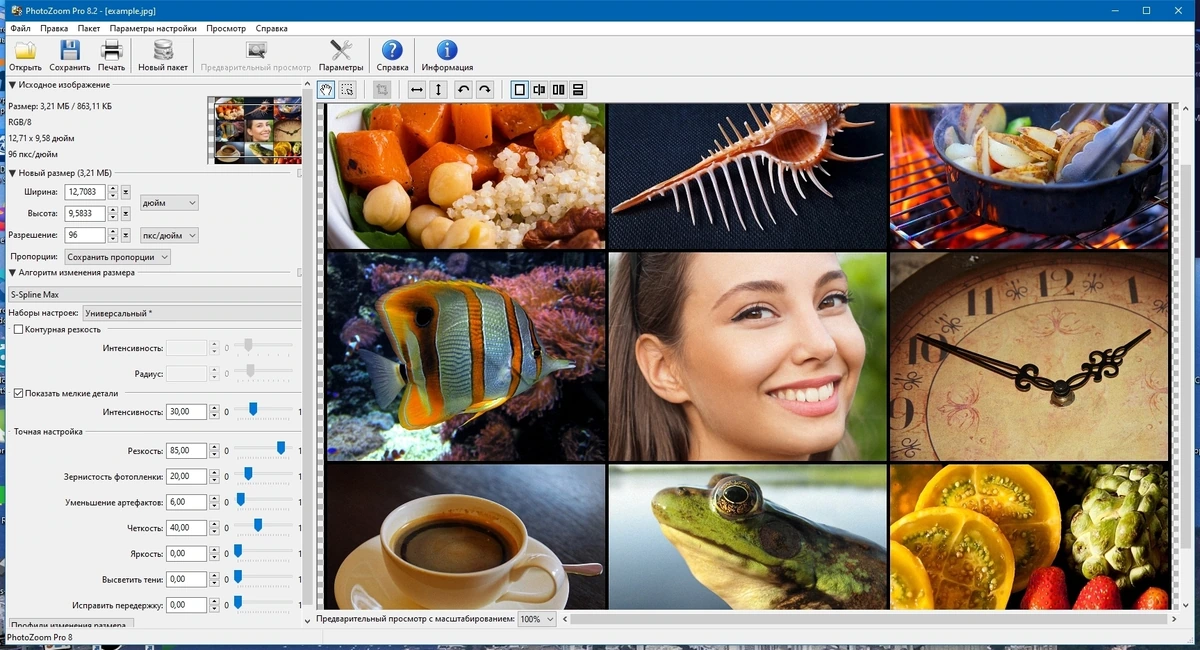 Benvista PhotoZoom Pro 8.2.0 Repack + Portable by TryRooM — изображение 1
