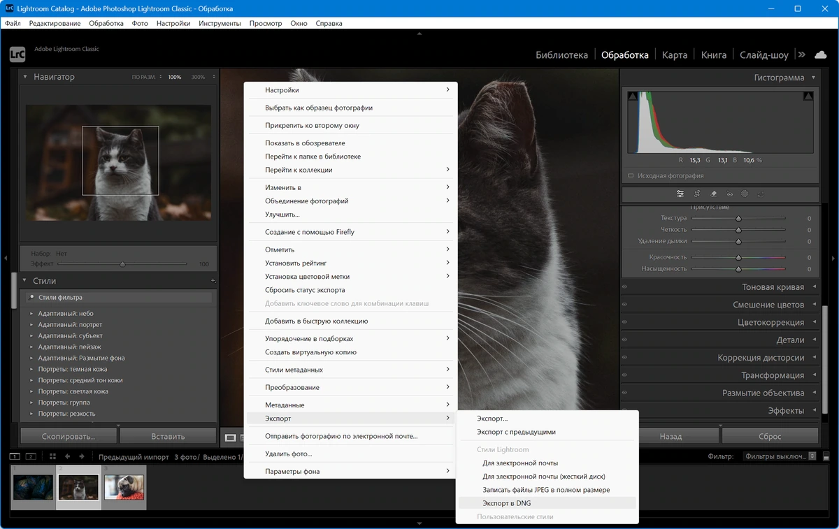 Adobe Photoshop Lightroom Classic 2026 15.4.0.7 — изображение 1