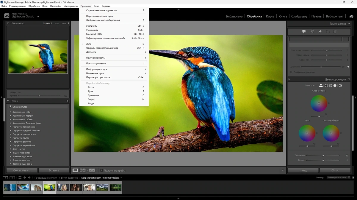Adobe Photoshop Lightroom Classic 2024 13.3.1.1 (x64) Portable by 7997 — изображение 1