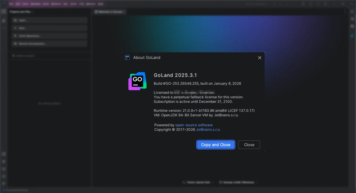 JetBrains GoLand 2025.3.1 (x64-arm64) by IDE`a — изображение 1
