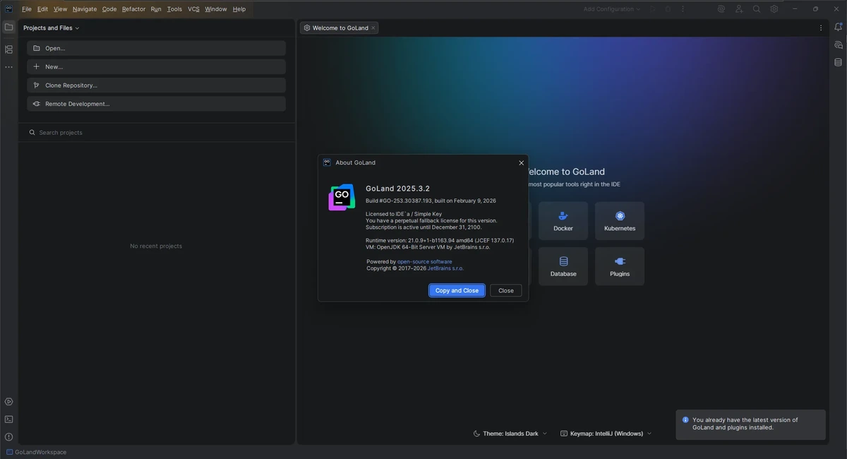 JetBrains GoLand 2025.3.2 (x64-arm64) by IDE`a — изображение 1