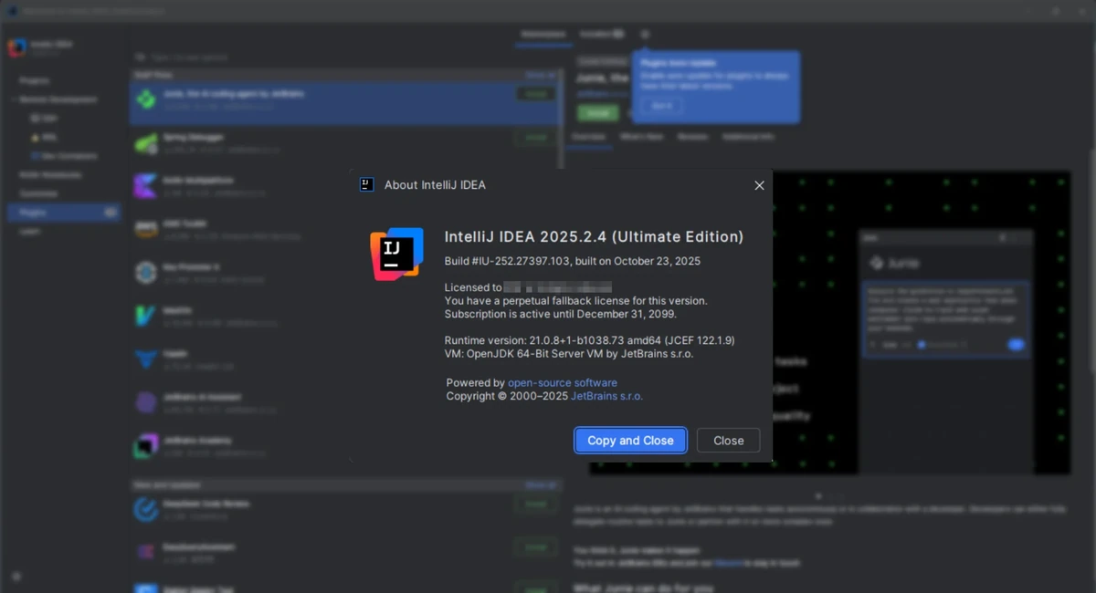 Jetbrains IntelliJ IDEA Ultimate 2025.2.4 (x64-arm64) by IDE`a — изображение 1