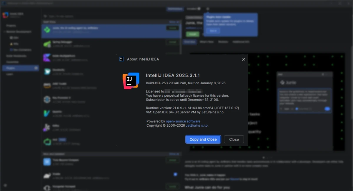 Jetbrains IntelliJ IDEA Ultimate 2025.3.1.1 (x64-arm64) by IDE`a — изображение 1