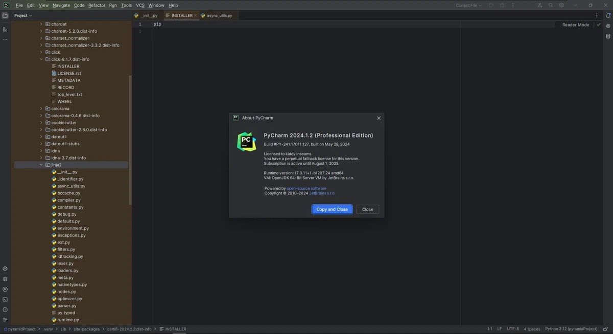 JetBrains PyCharm Professional 2024.1.2 Repack by Sitego — изображение 1