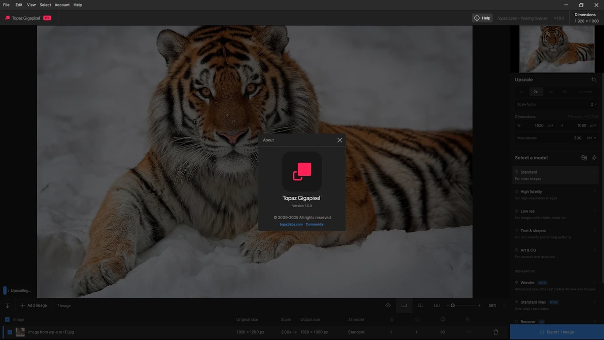 Качественное увеличение фото Topaz Gigapixel 1.0.3 + models by 7997 — изображение 1