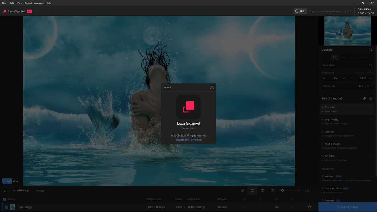 Качественное увеличение фото Topaz Gigapixel 1.0.5 by KpoJIuK — изображение 1