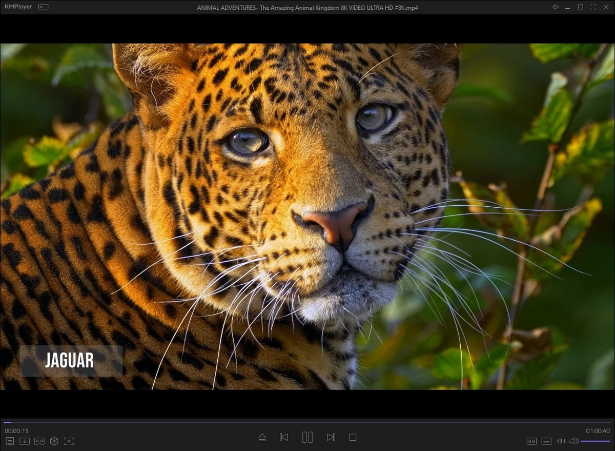 KMPlayer 2024.4.25.13 (x64) Portable by 7997 — изображение 1