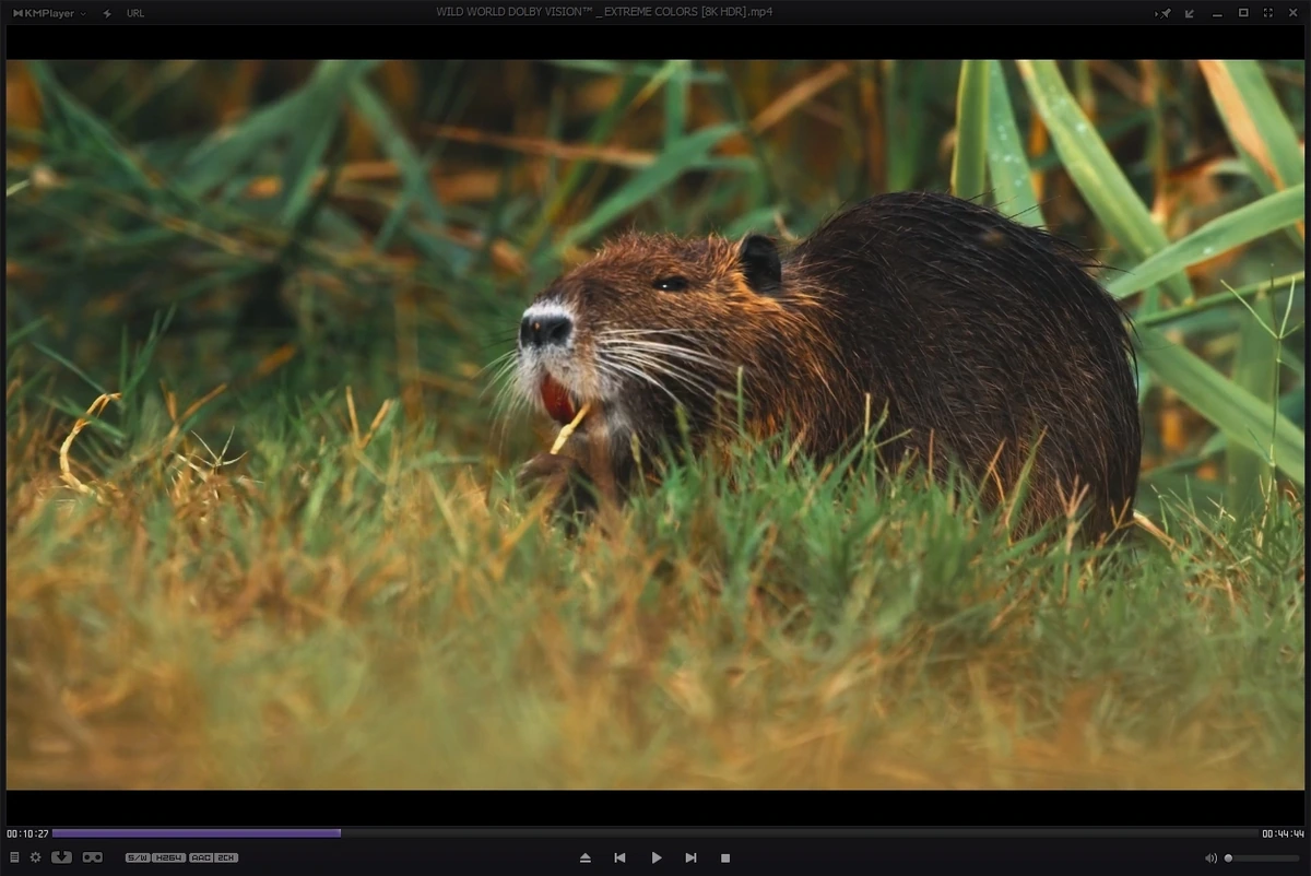 KMPlayer 4.2.3.13 Plus (x86) Portable by 7997 — изображение 1