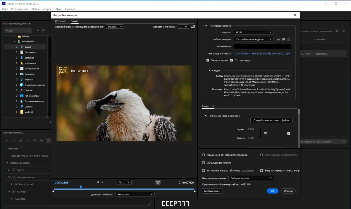 Кодировщик аудио и видеофайлов - Adobe Media Encoder 2023 23.6.0.62 by KpoJIuK — изображение 1