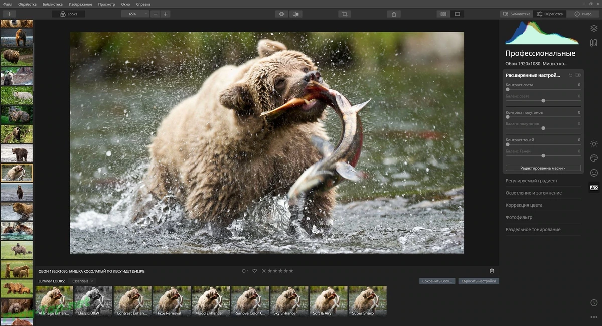 Luminar наложение эффектов на фото 4.3.0.6175 RePack (& Portable) by elchupacabra — изображение 1