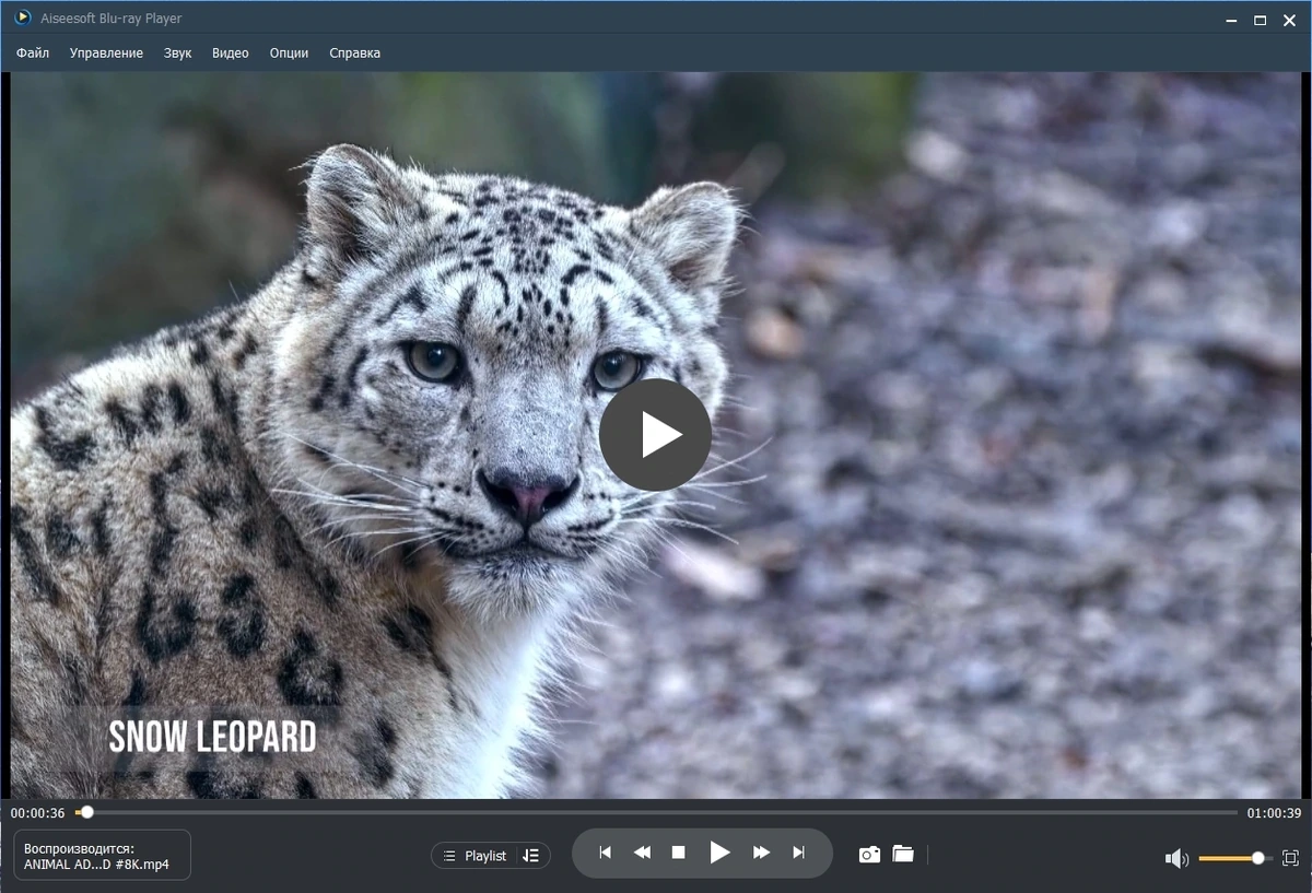 Aiseesoft Blu-ray Player 6.7.62 Полная + Портативная версии by elchupacabra — изображение 1