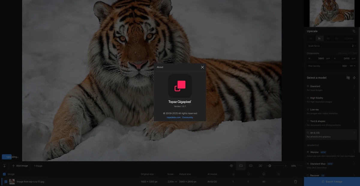 Масштабирование фотоснимков Topaz Gigapixel 1.0.7 by KpoJIuK — изображение 1