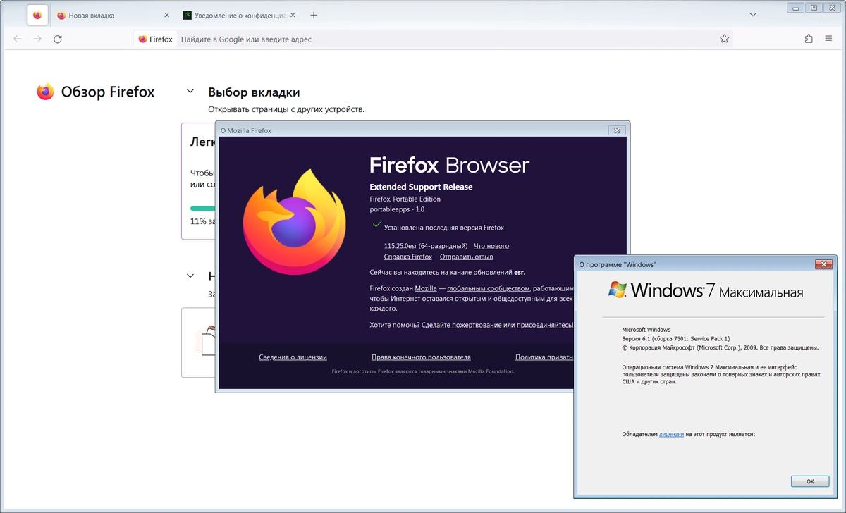 Мазилла портабле Firefox Browser ESR 115.25.0 by PortableApps — изображение 1