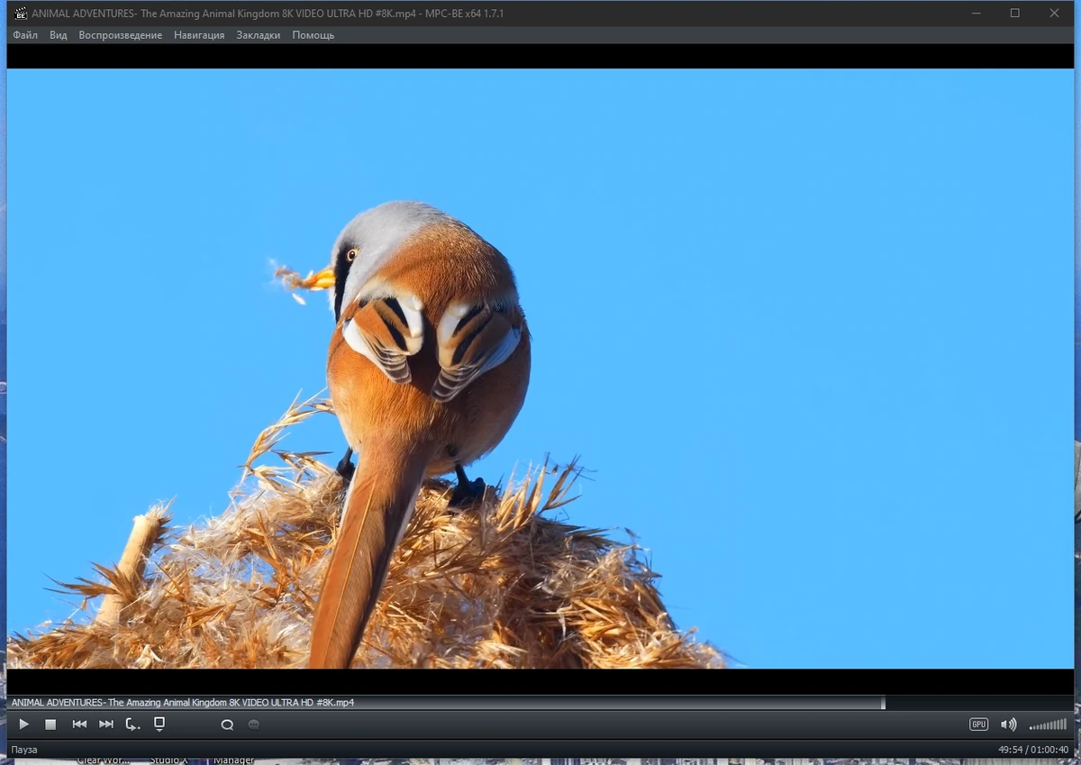 Media Player Classic - Black Edition 1.7.1 Stable Полная + Портативная версии by elchupacabra — изображение 1