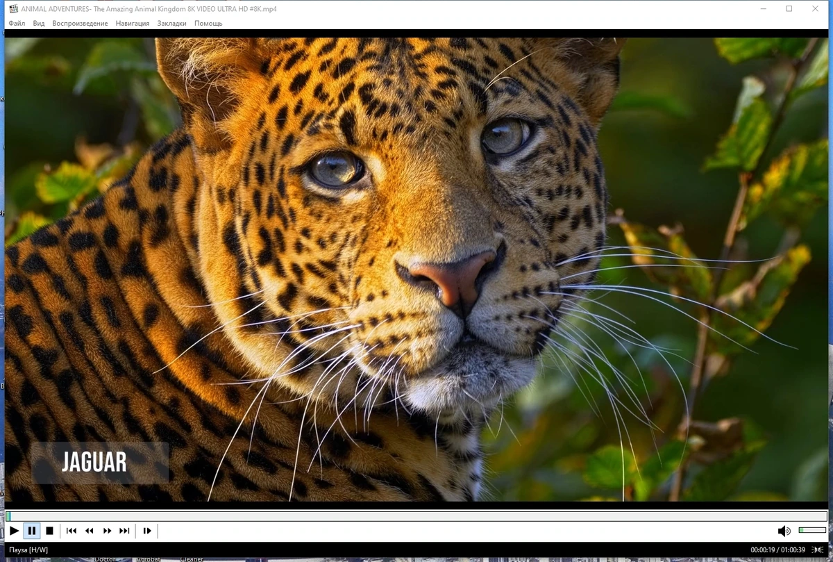 Media Player Classic Home Cinema 2.2.0 Полная + Портативная версии by KpoJIuK — изображение 1