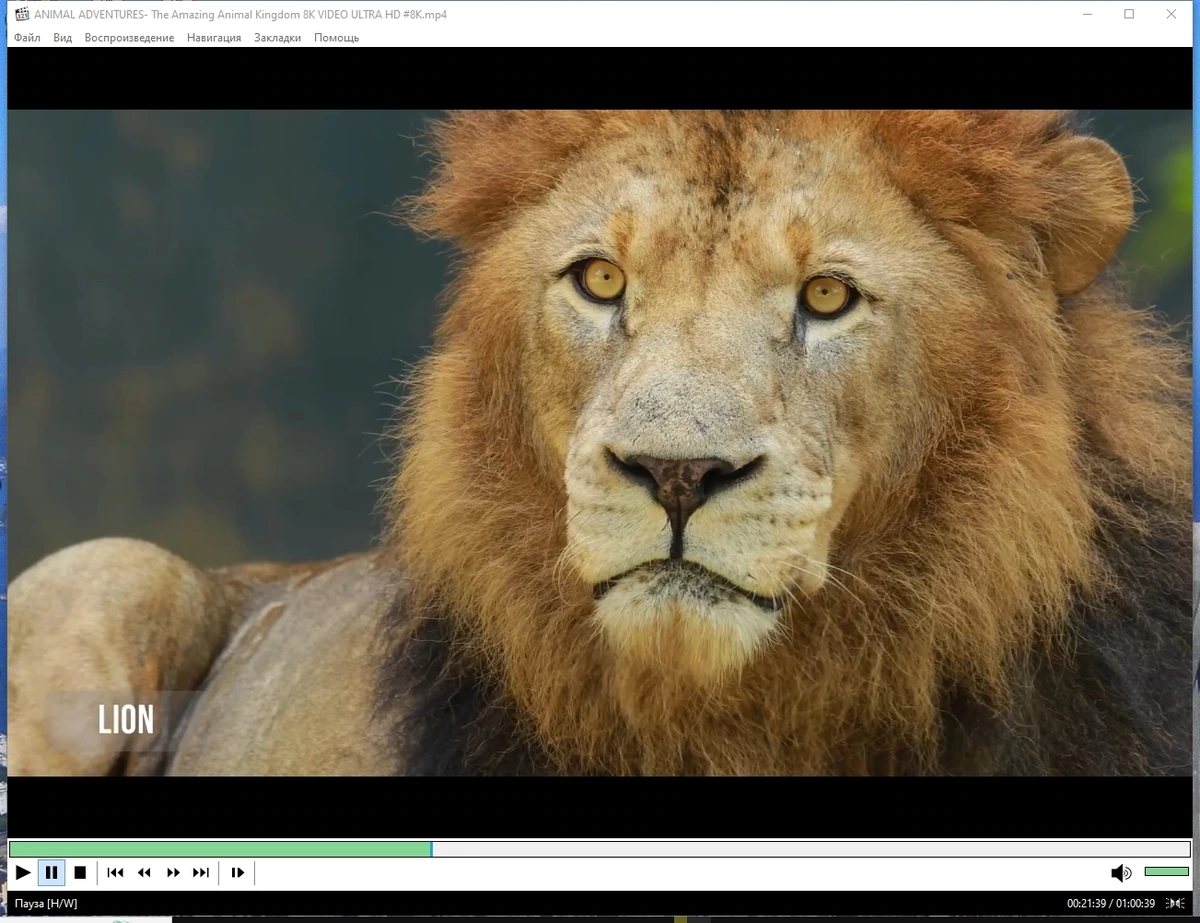 Media Player Classic Home Cinema 2.1.7.2 Полная + Портативная версии by elchupacabra — изображение 1