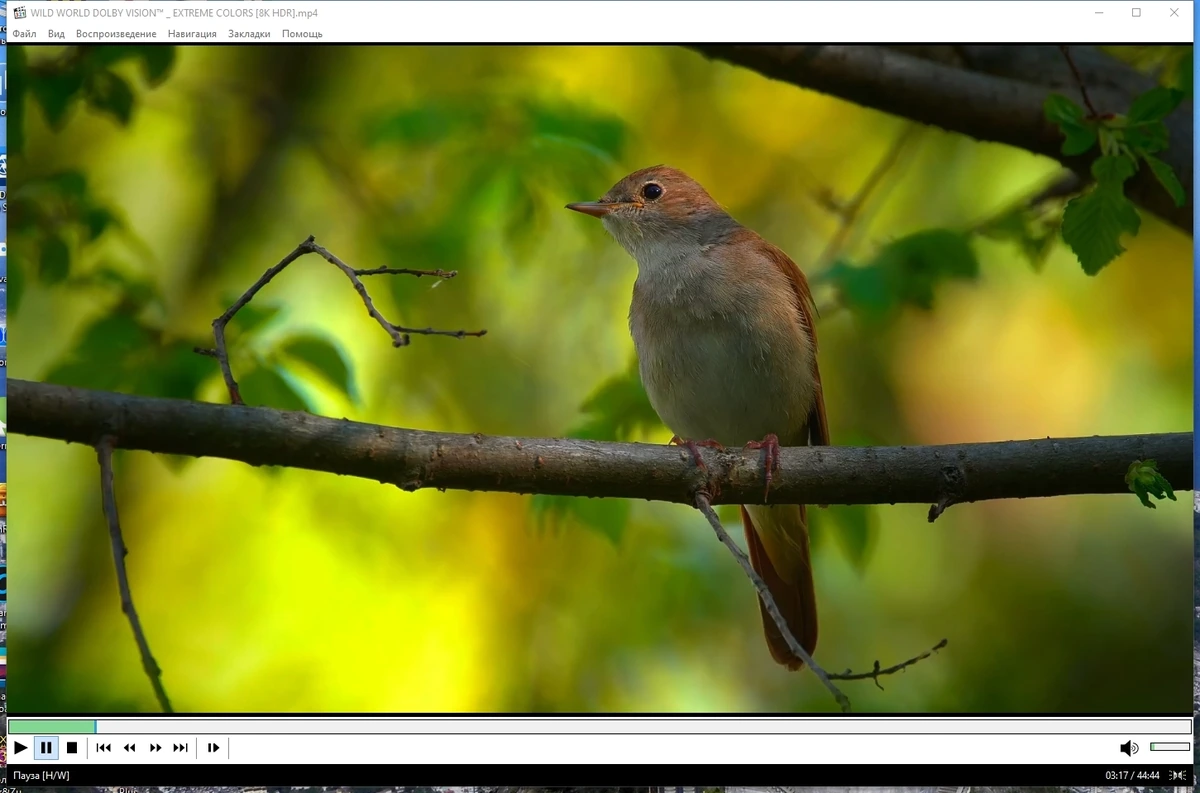Media Player Classic Home Cinema (MPC-HC) 2.3.2 Полная + Портативная версии by KpoJIuK — изображение 1