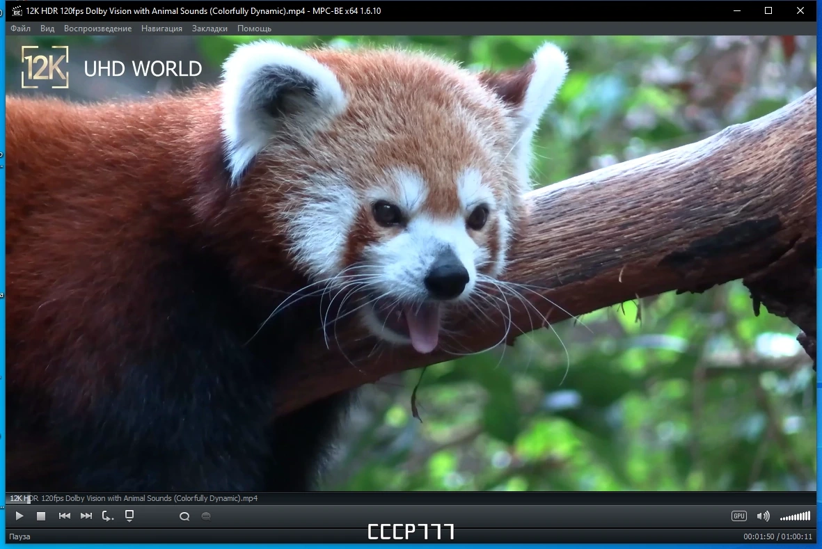 Media Player Classic плеер для Windows - Black Edition 1.6.10 Stable RePack by elchupacabra — изображение 1
