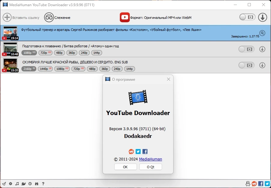 Загрузчик видео MediaHuman YouTube Downloader 3.9.9.96 (0711) by Dodakaedr — изображение 1