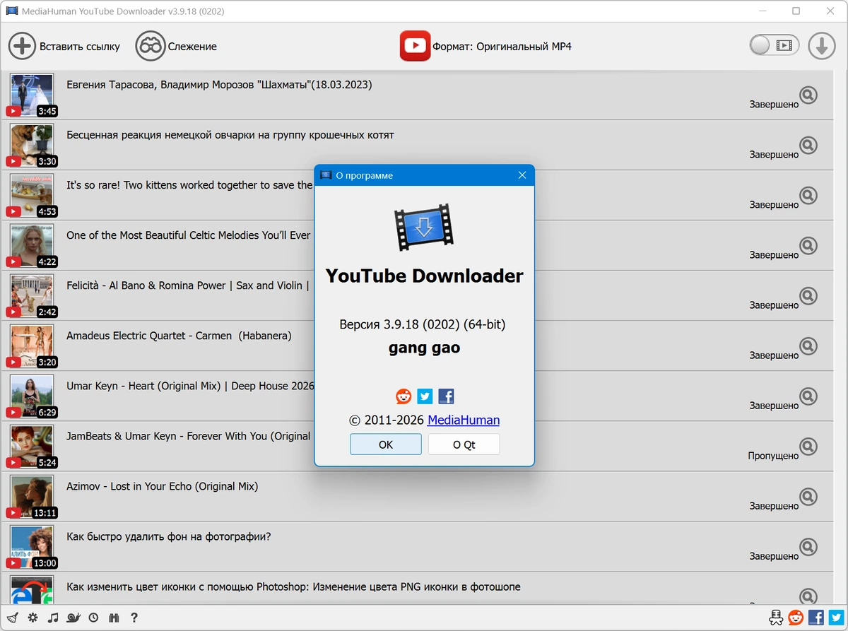 MediaHuman YouTube Downloader 3.9.18 (0202) — изображение 1