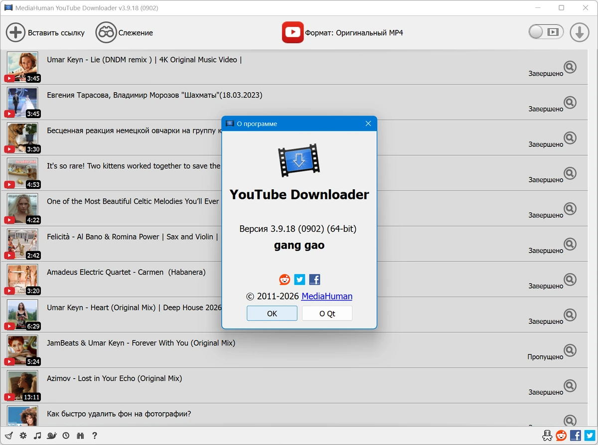 MediaHuman YouTube Downloader 3.9.18 (0902) — изображение 1