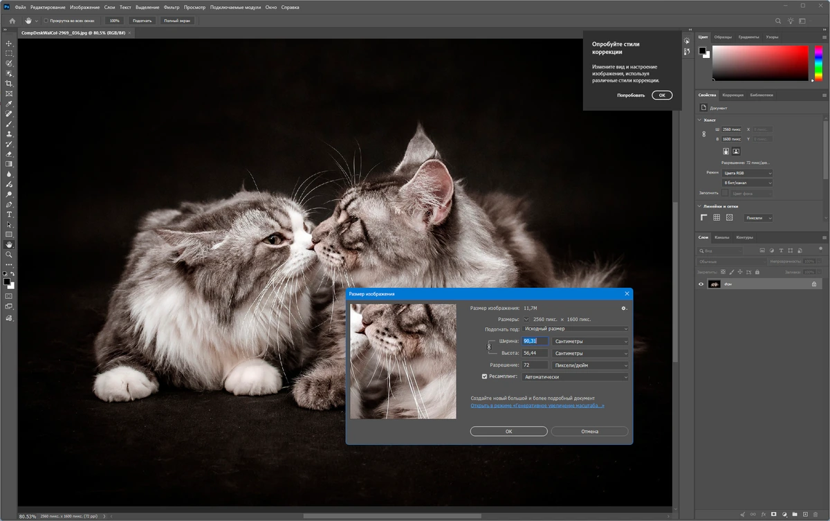 Многофункциональный редактор фотографий Adobe Photoshop 2026 27.8.0.13 — изображение 1
